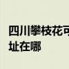 四川攀枝花可提供利亞德平板電視維修服務地址在哪