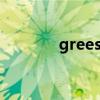 greesong  G7是lpddr5嗎？