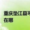 重慶墊江縣可提供三洋平板電視維修服務地址在哪