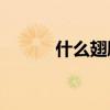 什么翅膀像兩個單詞一樣填空？