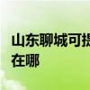 山東聊城可提供利亞德平板電視維修服務地址在哪