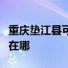 重慶墊江縣可提供日立平板電視維修服務地址在哪