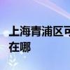 上海青浦區可提供先鋒平板電視維修服務地址在哪