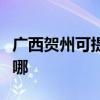 廣西賀州可提供先鋒平板電視維修服務地址在哪