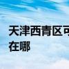 天津西青區可提供先鋒平板電視維修服務地址在哪