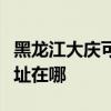 黑龍江大慶可提供利亞德平板電視維修服務地址在哪