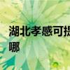 湖北孝感可提供三洋平板電視維修服務地址在哪
