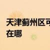 天津薊州區可提供美格平板電視維修服務地址在哪