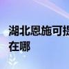 湖北恩施可提供利亞德平板電視維修服務地址在哪