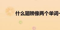 什么翅膀像兩個單詞一樣填空?