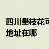 四川攀枝花可提供瀚斯寶麗平板電視維修服務地址在哪