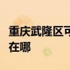 重慶武隆區可提供康冠平板電視維修服務地址在哪