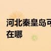 河北秦皇島可提供康冠平板電視維修服務地址在哪
