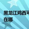 黑龍江雞西可提供康冠平板電視維修服務地址在哪