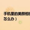 手機里的美顏相機怎么設置（手機默認相機設置成美顏相機怎么辦）