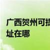 廣西賀州可提供瀚斯寶麗平板電視維修服務地址在哪
