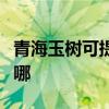 青海玉樹可提供康冠平板電視維修服務地址在哪