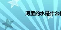 河里的水是什么樣的?