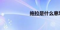 拖拉是什么意思?