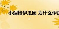 小煙槍伊瓜因 為什么伊瓜因叫小煙槍
