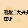 黑龍江大興安嶺可提供海爾空調維修服務地址在哪