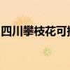 四川攀枝花可提供海爾空調維修服務地址在哪
