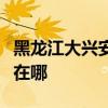 黑龍江大興安嶺可提供格力空調維修服務地址在哪