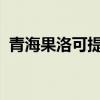 青海果洛可提供格力空調維修服務地址在哪