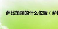 薩比策踢的什么位置(薩比策什么水平)