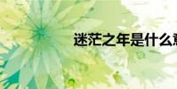 迷茫之年是什么意思?
