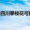 四川攀枝花可提供大金空調維修服務地址在哪