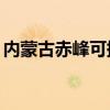 內蒙古赤峰可提供TCL空調維修服務地址在哪