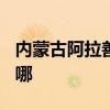 內蒙古阿拉善可提供TCL空調維修服務地址在哪
