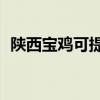 陜西寶雞可提供TCL空調維修服務地址在哪