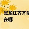 黑龍江齊齊哈爾可提供海信空調維修服務地址在哪