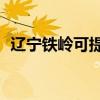 遼寧鐵嶺可提供TCL空調維修服務地址在哪