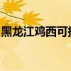 黑龍江雞西可提供海信空調維修服務地址在哪