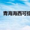 青海海西可提供TCL空調維修服務地址在哪