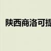 陜西商洛可提供TCL空調維修服務地址在哪