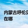 內蒙古呼倫貝爾可提供TCL空調維修服務地址在哪