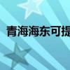 青海海東可提供志高空調維修服務地址在哪