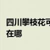 四川攀枝花可提供三菱電機空調維修服務地址在哪