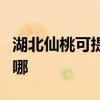 湖北仙桃可提供三菱電機空調維修服務地址在哪