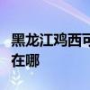 黑龍江雞西可提供三菱電機空調維修服務地址在哪