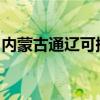 內蒙古通遼可提供志高空調維修服務地址在哪