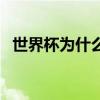 世界杯為什么有人哭 世界杯為什么有人哭 