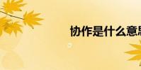 協作是什么意思?