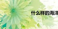 什么樣的海洋?