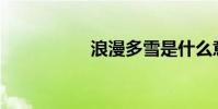 浪漫多雪是什么意思?