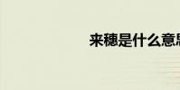 來穗是什么意思?
